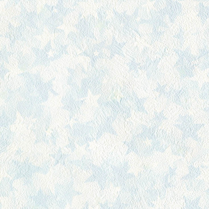 チップ画像