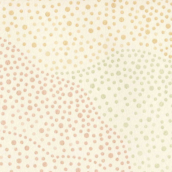 チップ画像