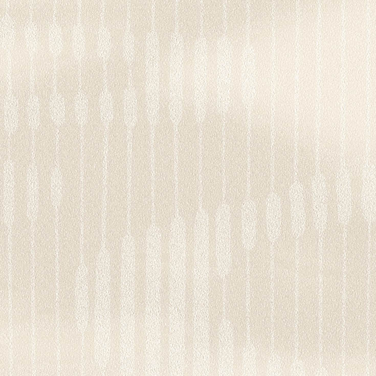 チップ画像