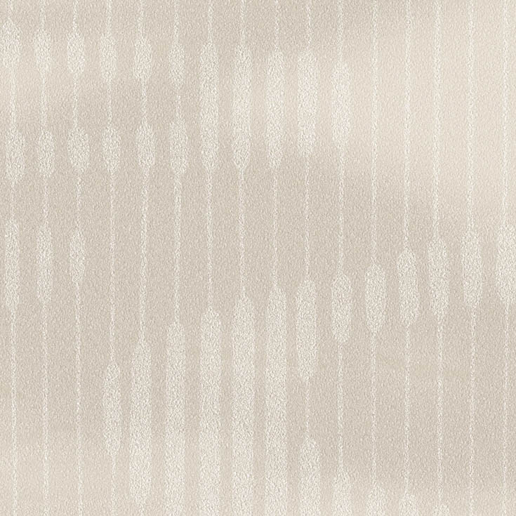 チップ画像