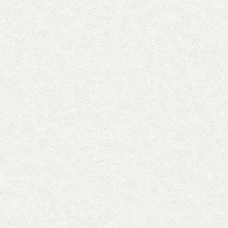 チップ画像