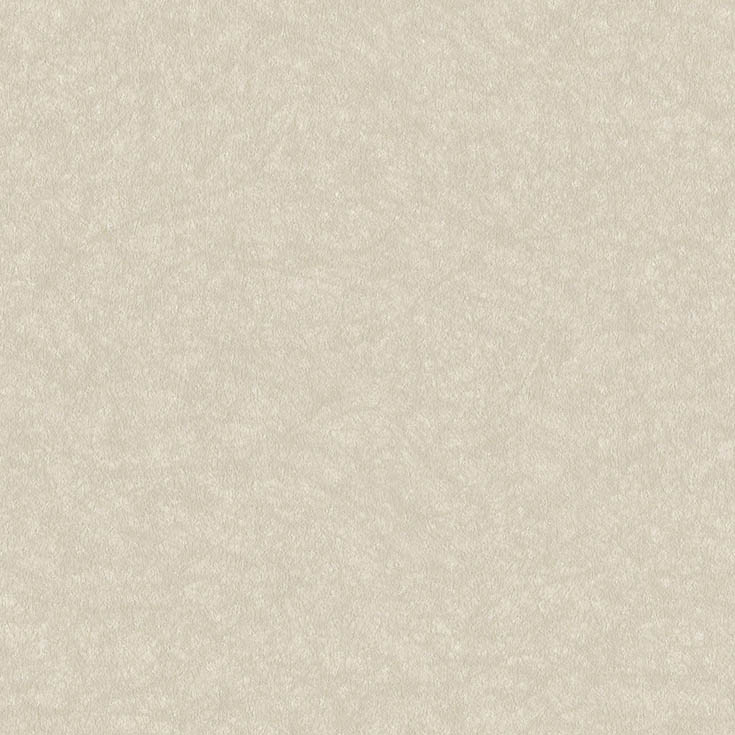 チップ画像