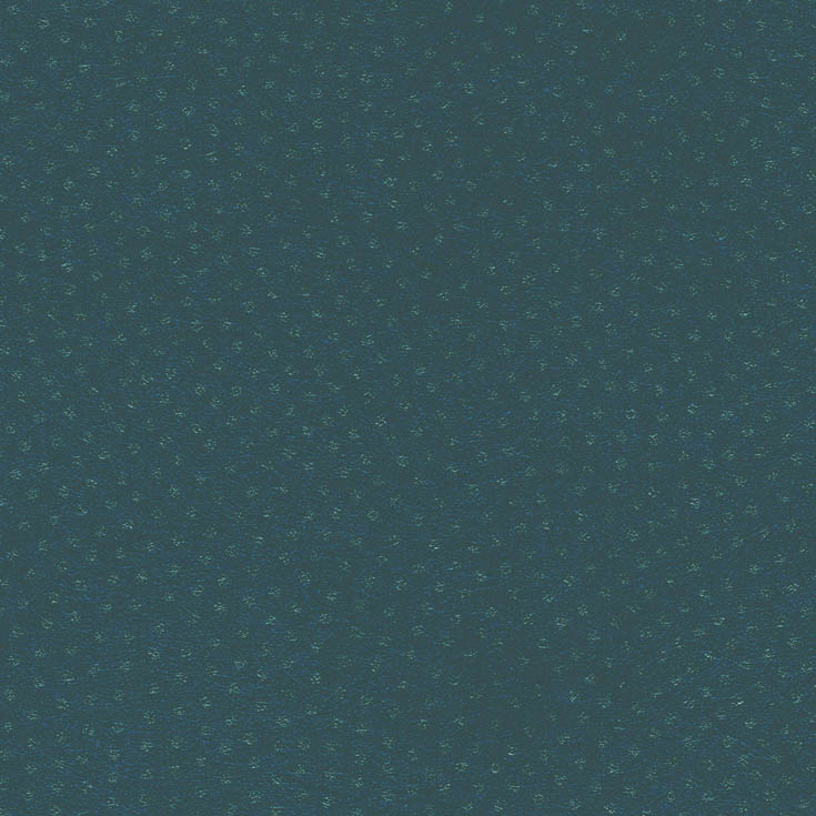 チップ画像
