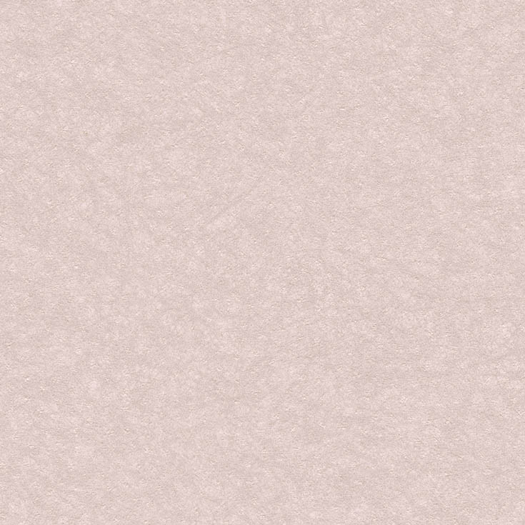 チップ画像