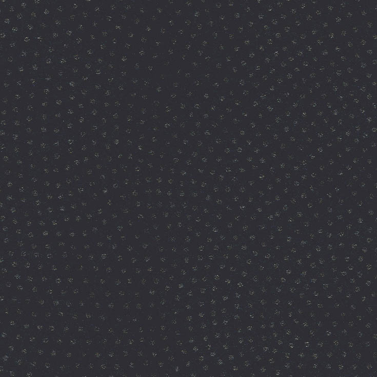 チップ画像