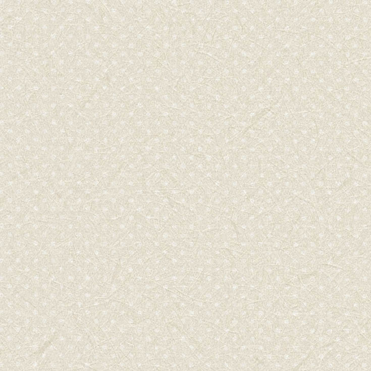 チップ画像