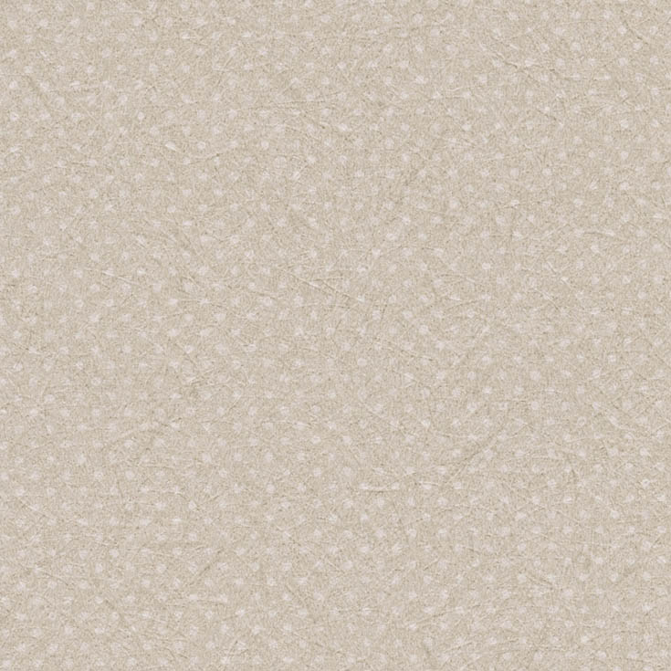 チップ画像