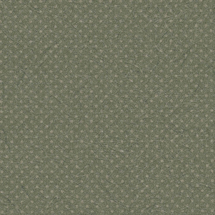 チップ画像