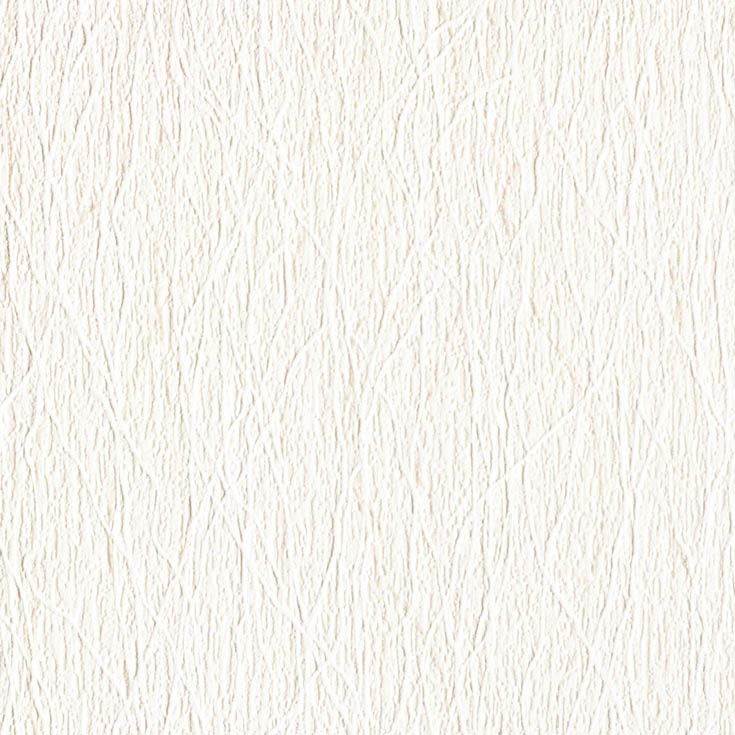 チップ画像