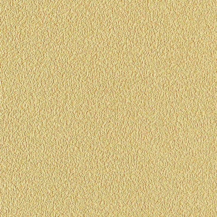 チップ画像