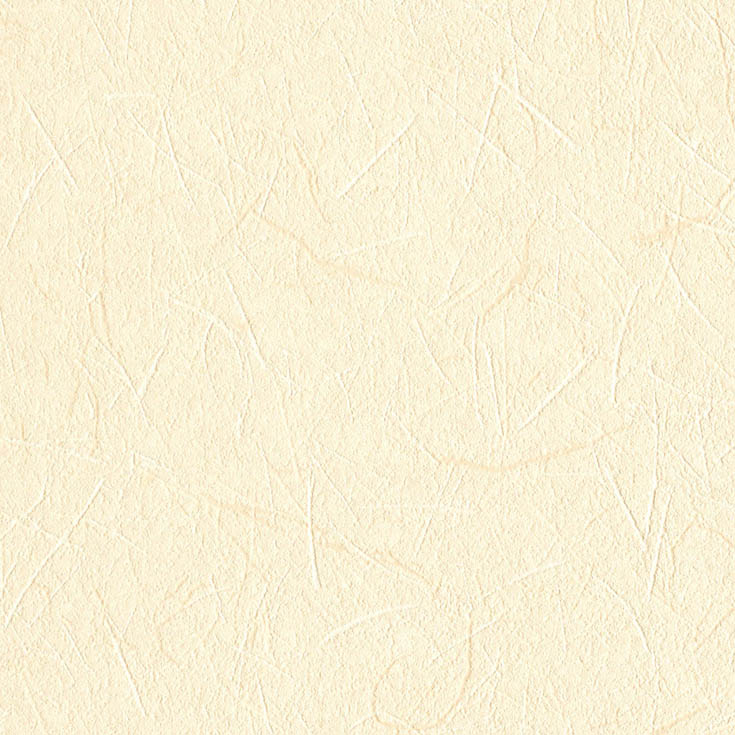 チップ画像