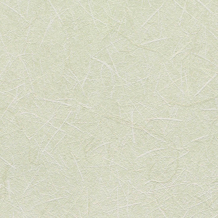 チップ画像