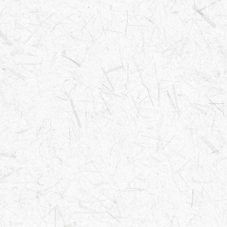 チップ画像
