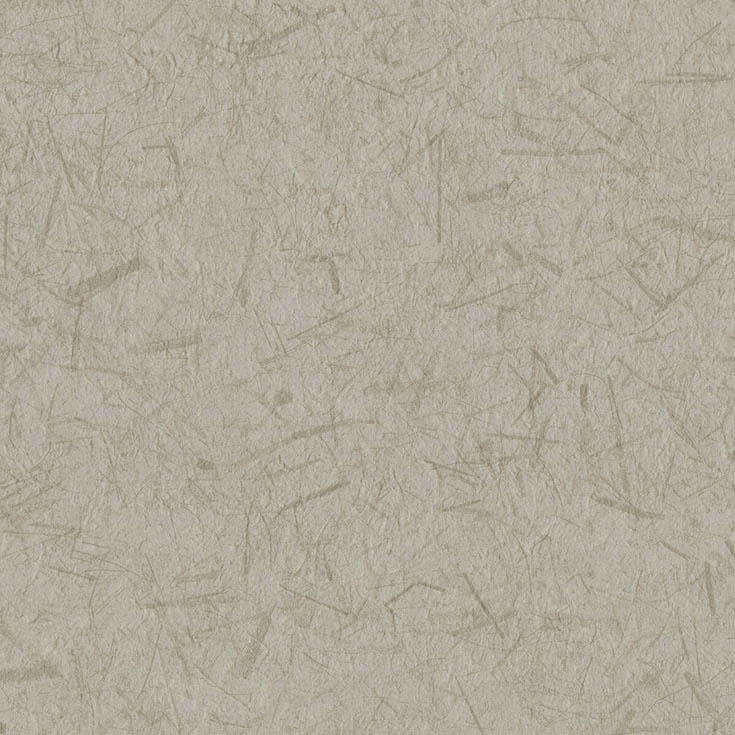 チップ画像