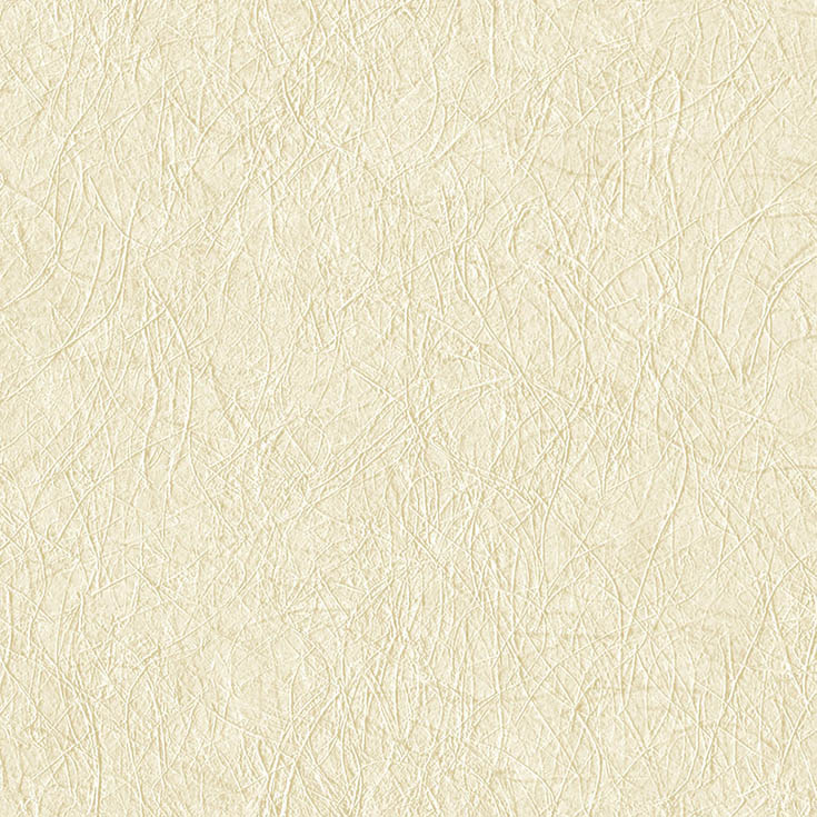 チップ画像