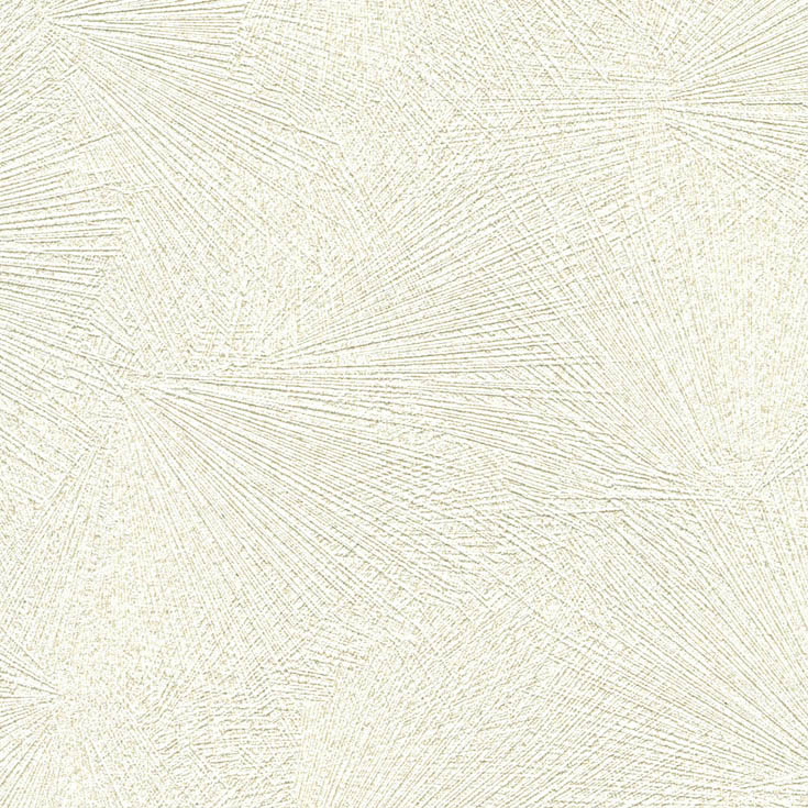 チップ画像