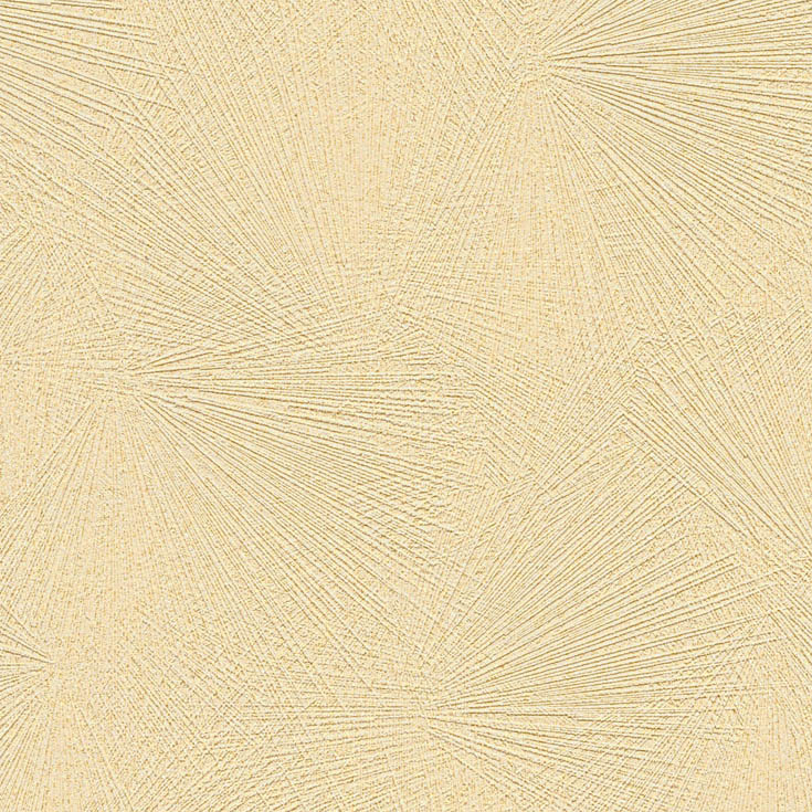 チップ画像