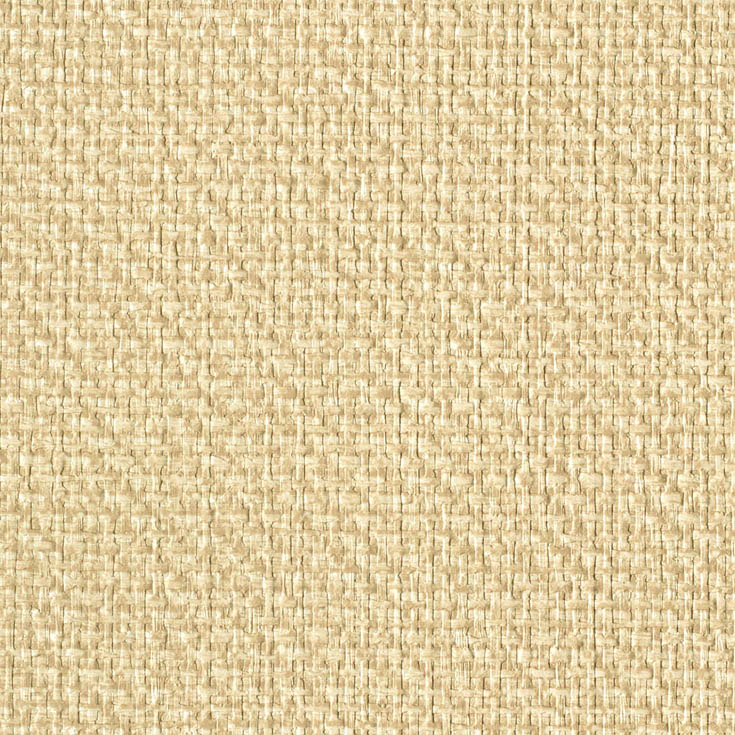 チップ画像