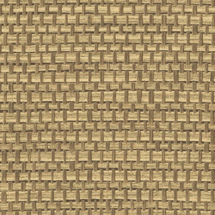 チップ画像