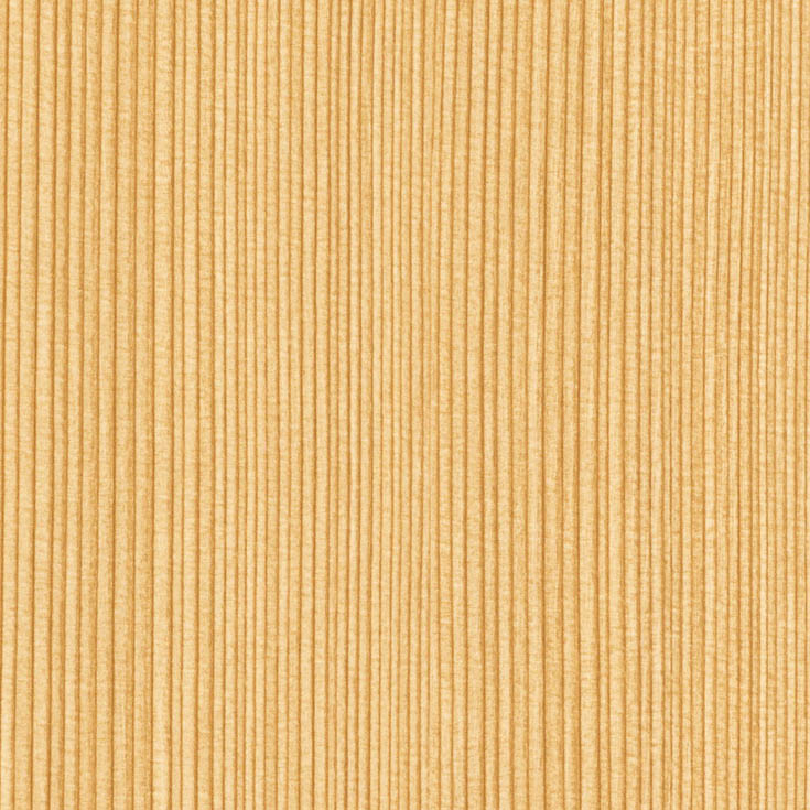 チップ画像