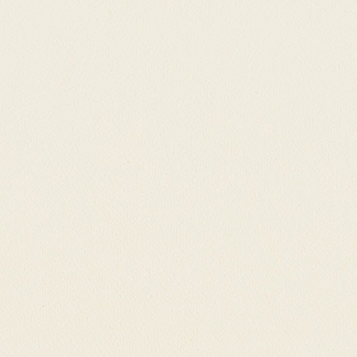 チップ画像