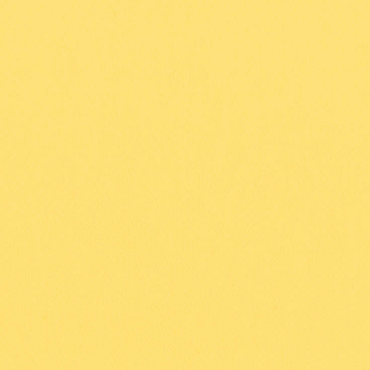 チップ画像