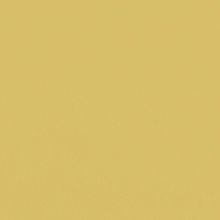 チップ画像