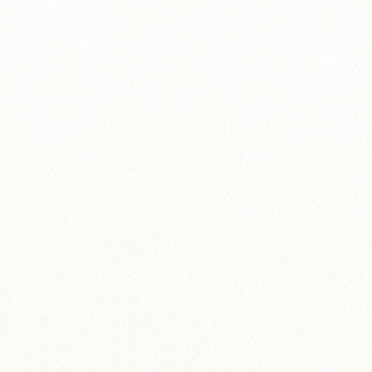 チップ画像