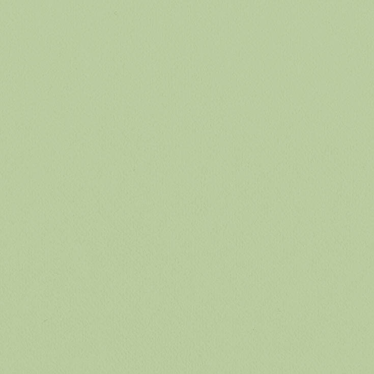 チップ画像