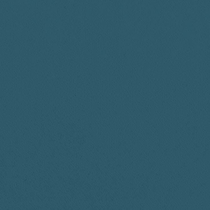 チップ画像