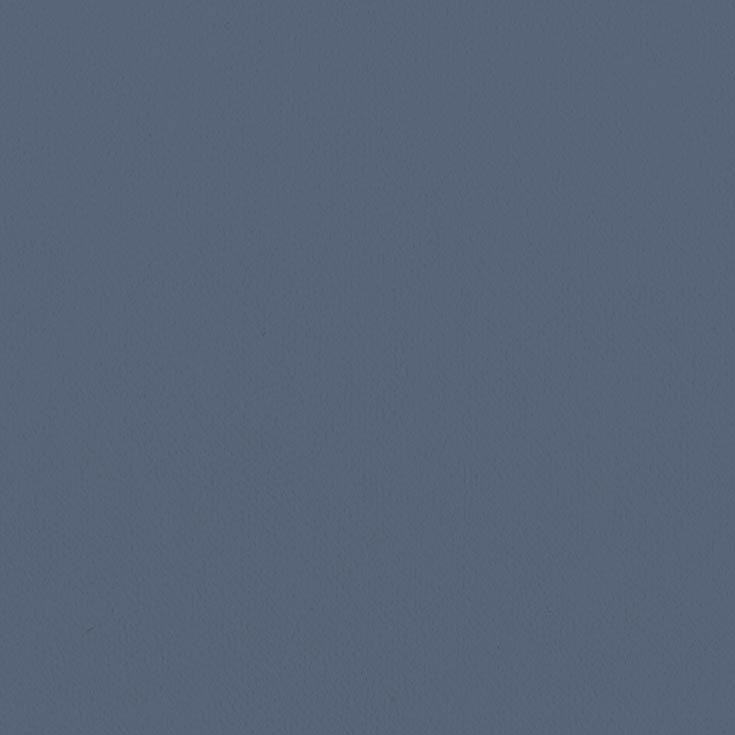 チップ画像