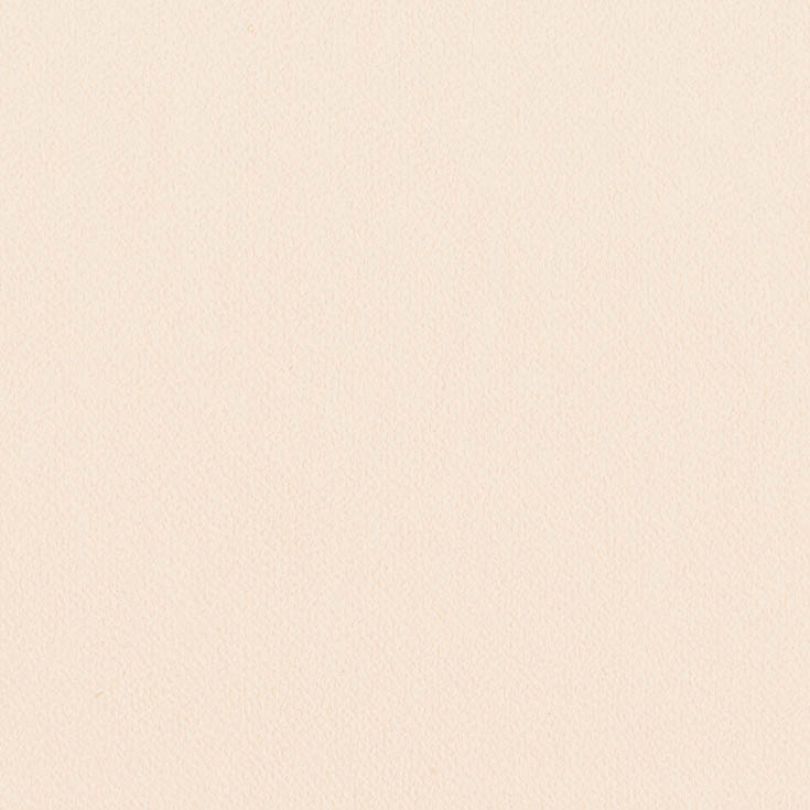 チップ画像