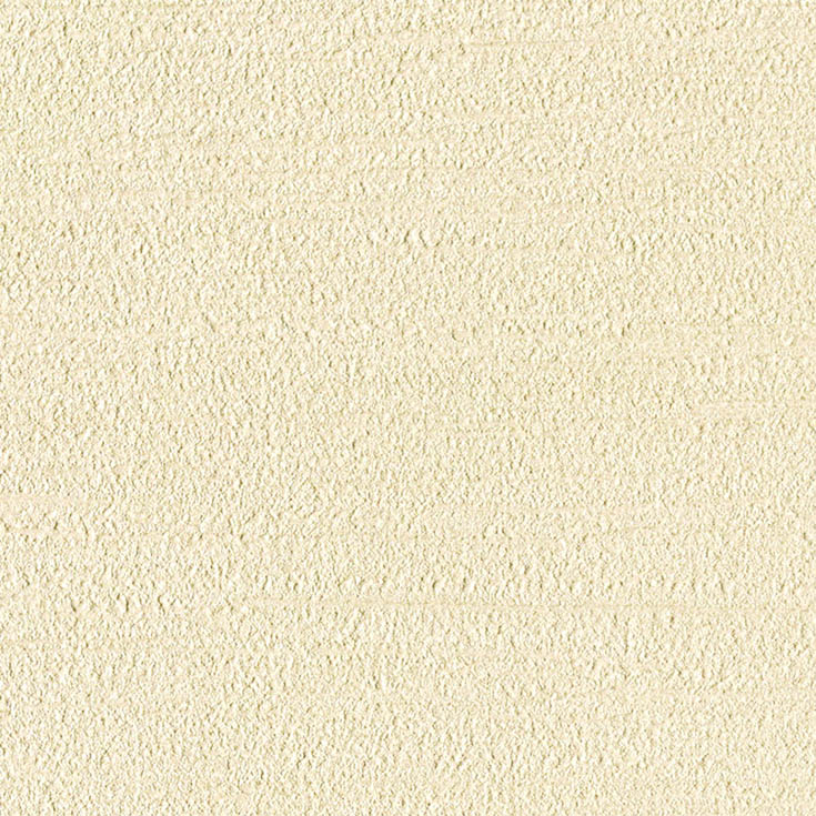 チップ画像