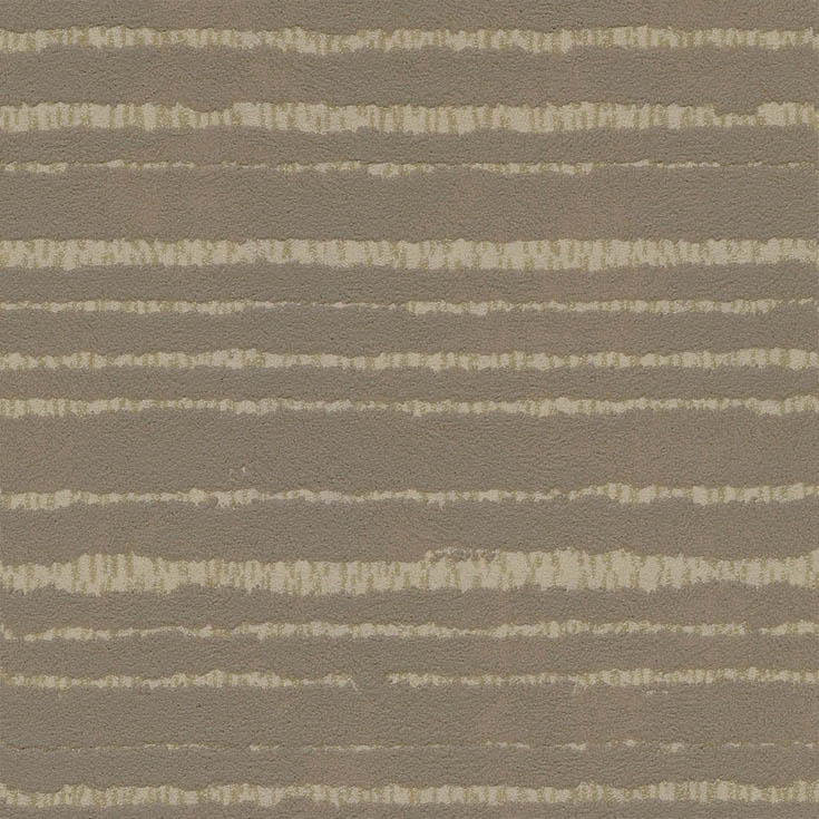 チップ画像