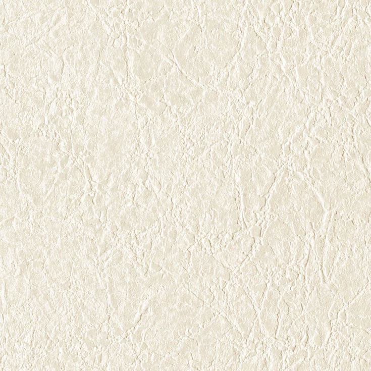 チップ画像