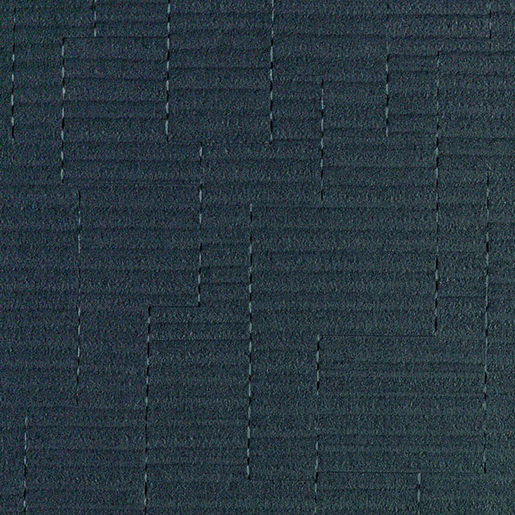 チップ画像