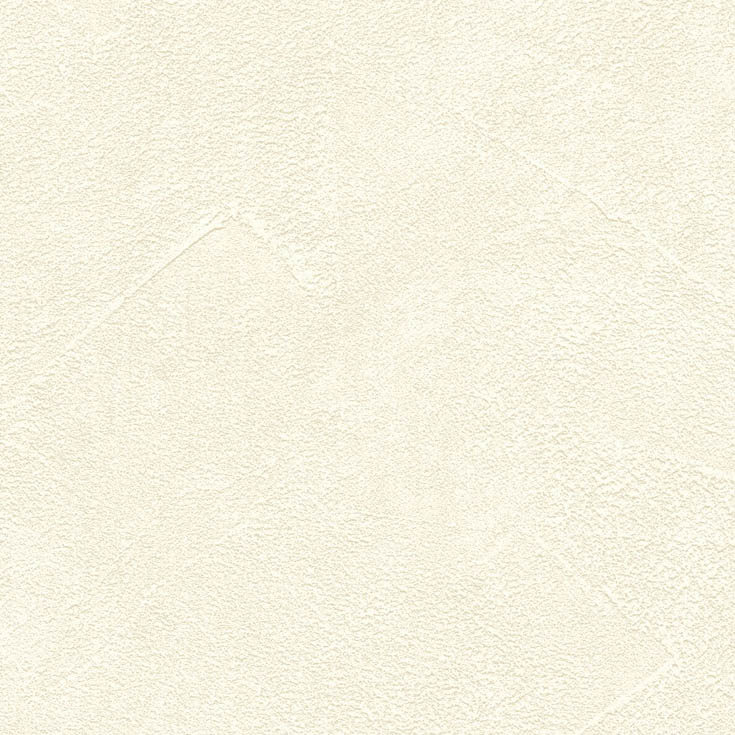 チップ画像