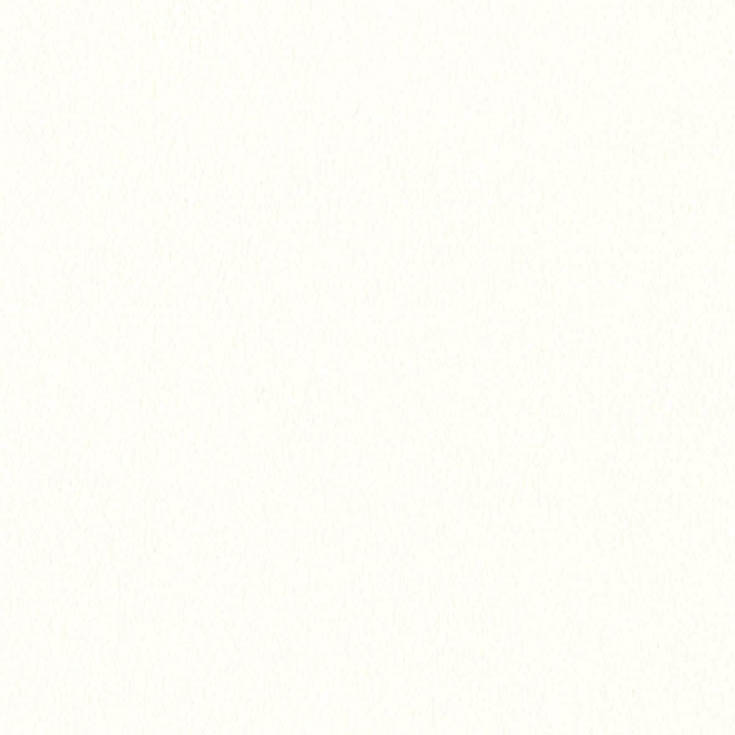 チップ画像