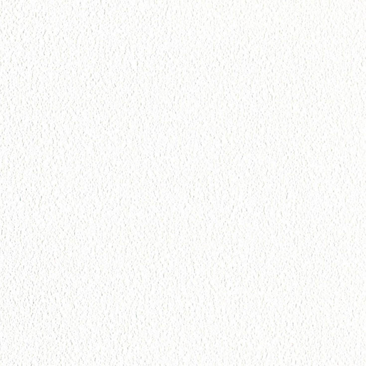 チップ画像