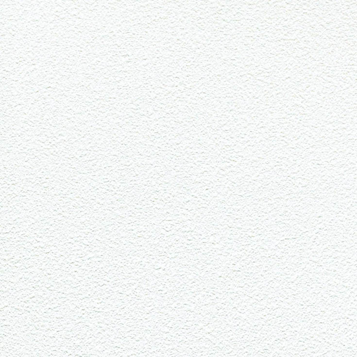 チップ画像
