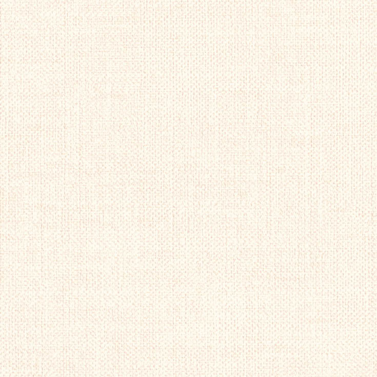 チップ画像