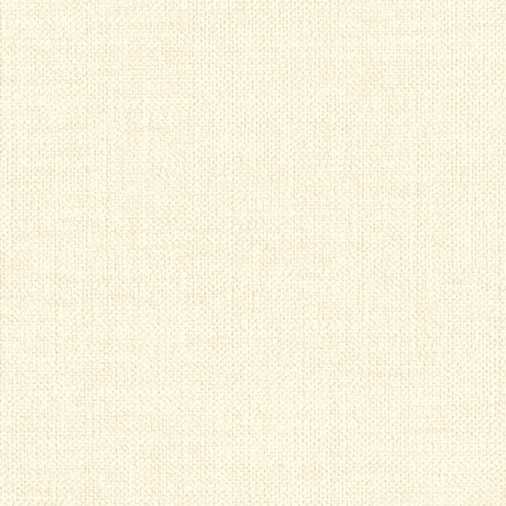 チップ画像