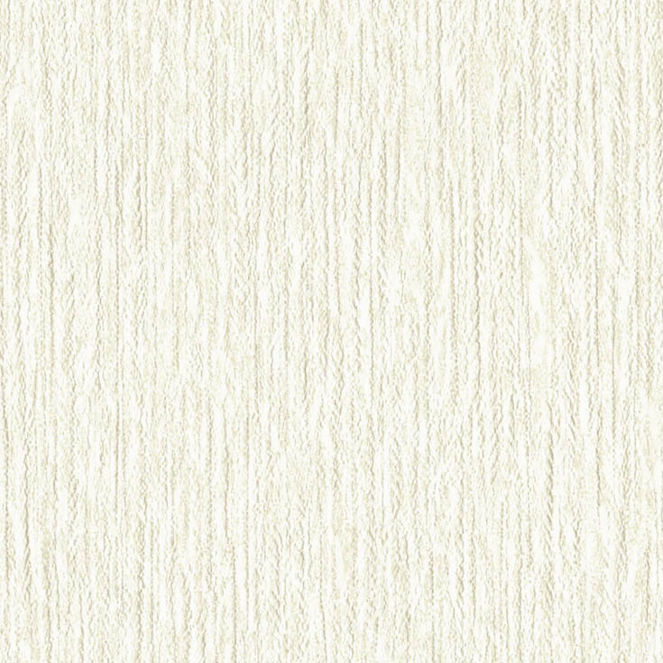 チップ画像
