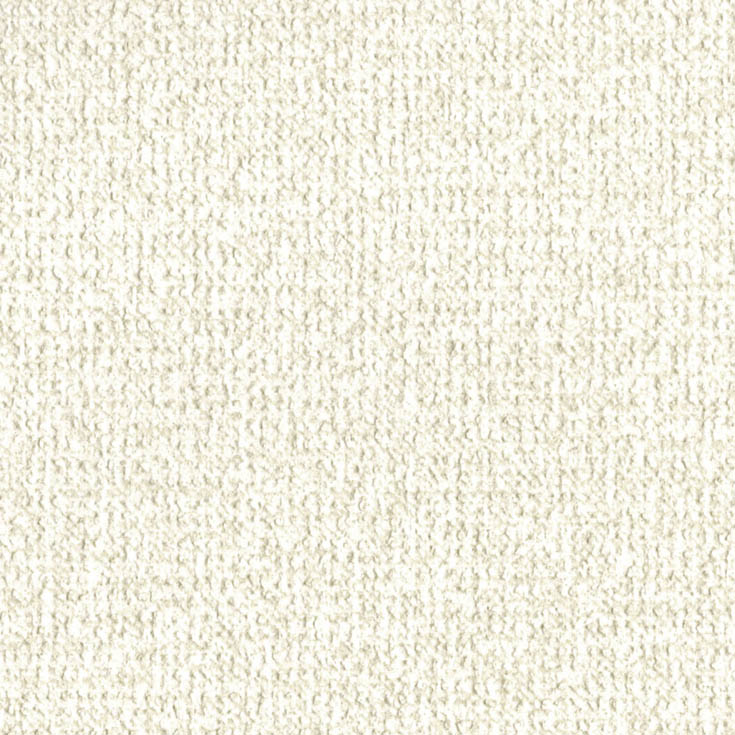 チップ画像
