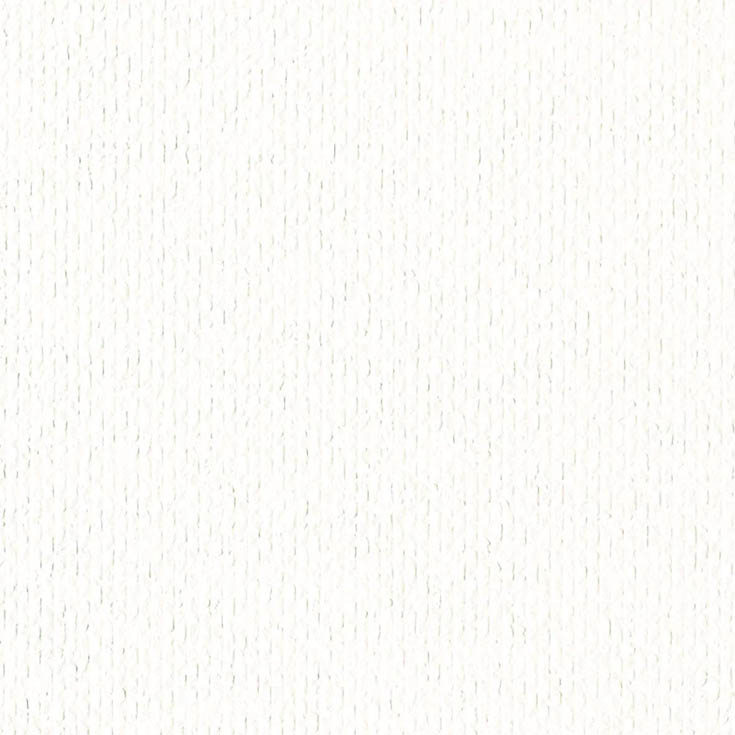 チップ画像