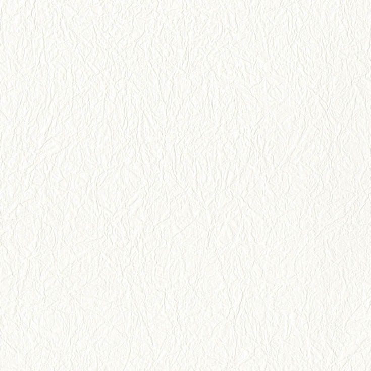 チップ画像