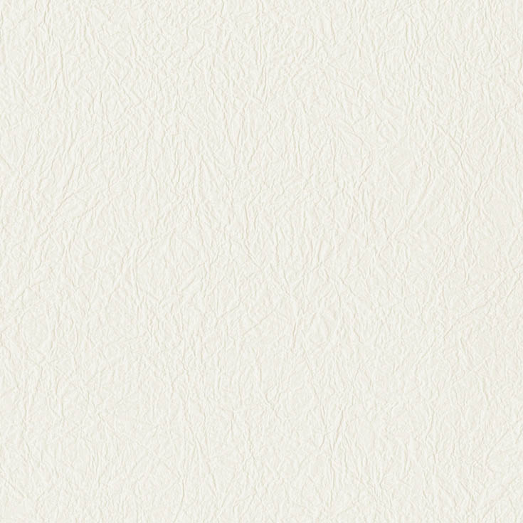 チップ画像