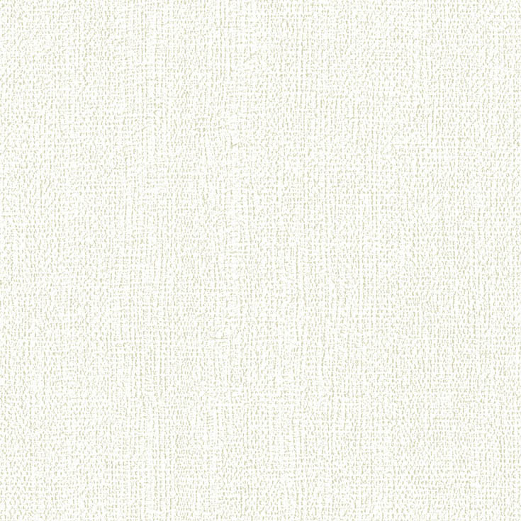チップ画像