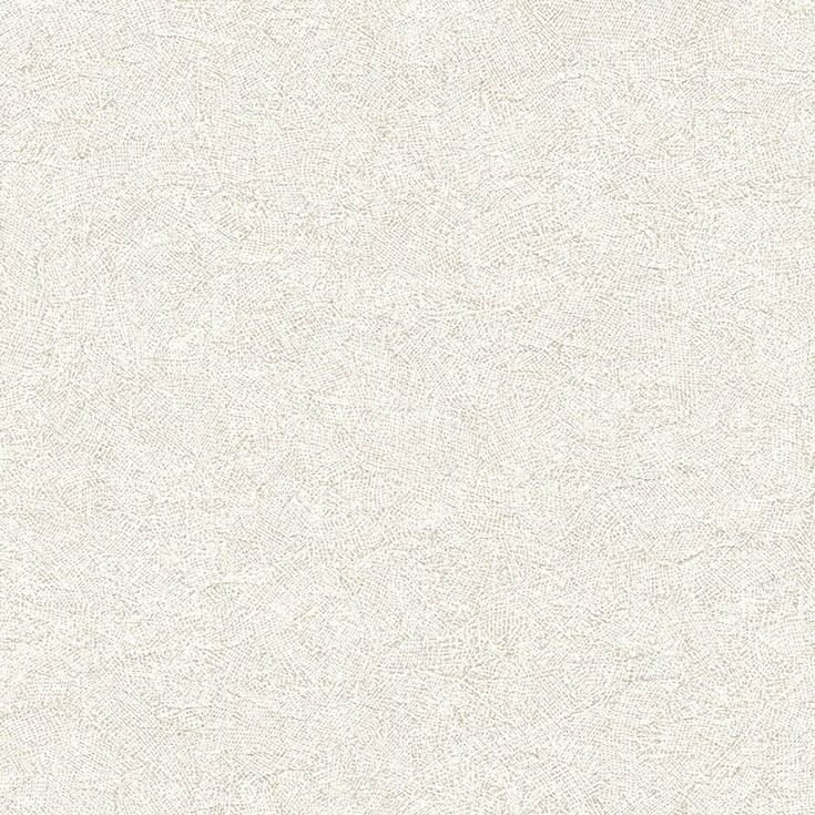 チップ画像