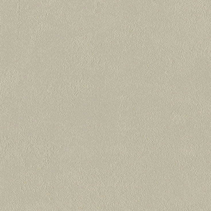 チップ画像